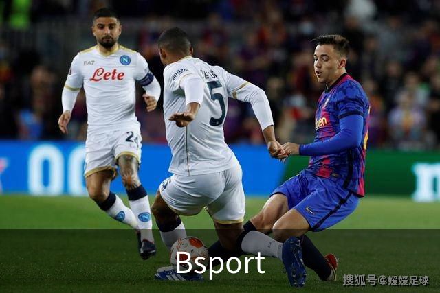 关于Bsport